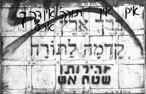 מדינה יהודית דמוקרטית: בין הדתי לחברתי- כלכלי / נדב ברמן- שיפמן