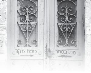סוציאליזם חרדי / מיכל צ'רנוביצקי