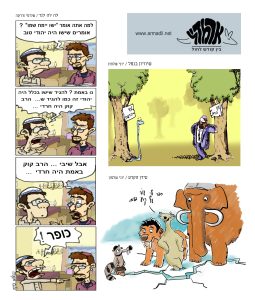 ארמדיל דעות 60