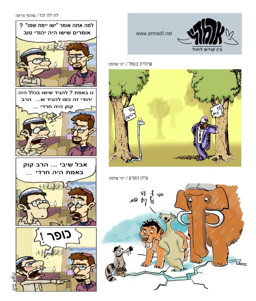 ארמדיל דעות 60