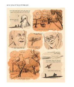 ארמדיל דעות 61