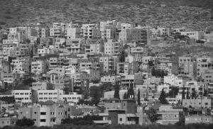 יחסינו [עם אזרחי ישראל הערבים] לאן? / ד"ר אליעזר מלכיאל