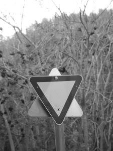 חופש עד הקצה / ליהרז פרומן