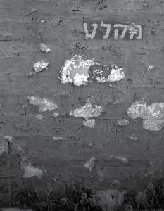 ציונות דתית אחרת – כי גרים היינו בארץ מצרים / יאיא פינק