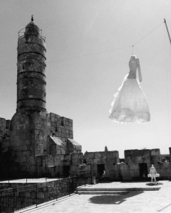 מנועי חיתון תחילה / תני פרנק